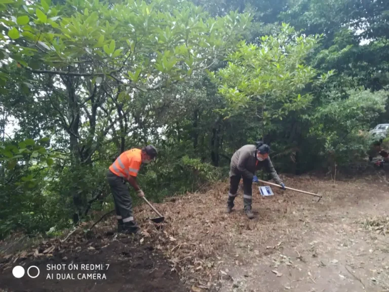 nuevo boletín - inserciones parque rural de anaga