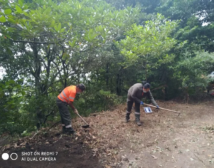 nuevo boletín - inserciones parque rural de anaga